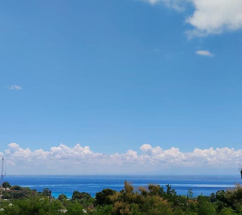Photo of Others in Mushroom Bay