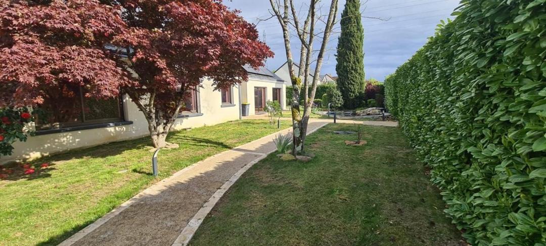 Photo of Others in Saint-Cyr-sur-Loire