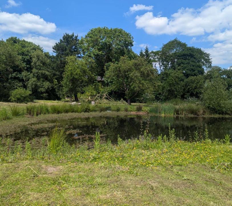 Photo of Others in Crowle