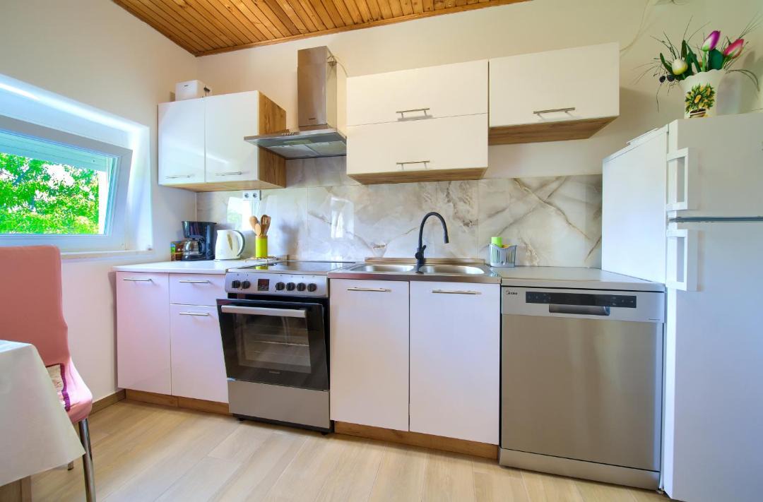 Photo of Kitchen in Milovcici