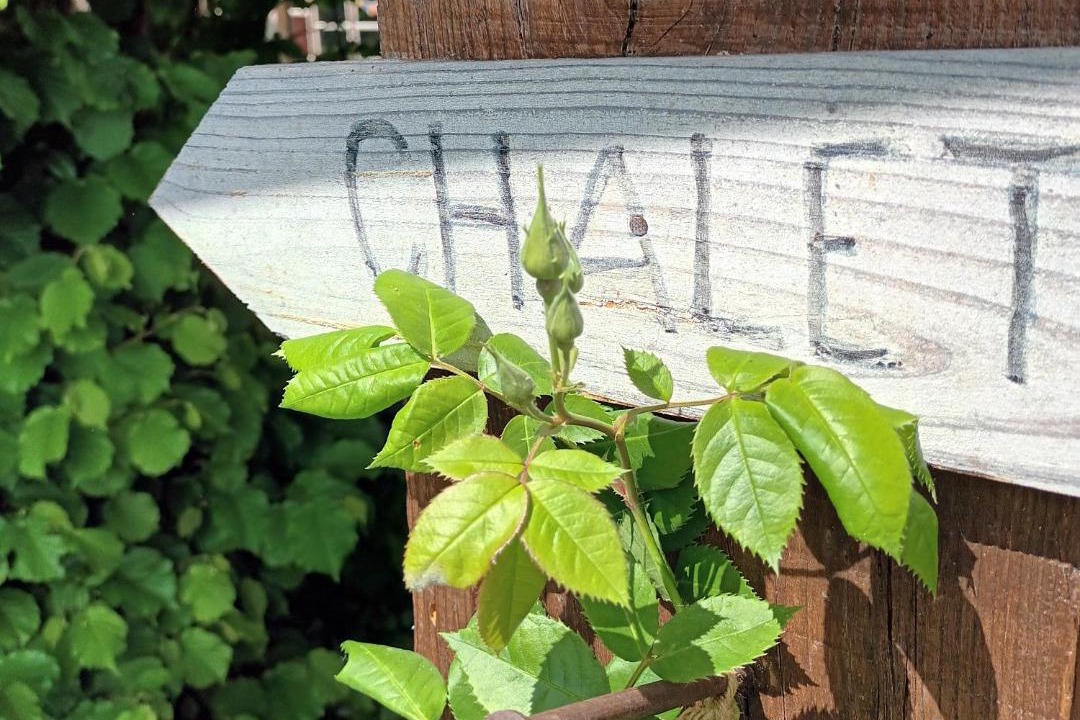 Photo of Others in Seix