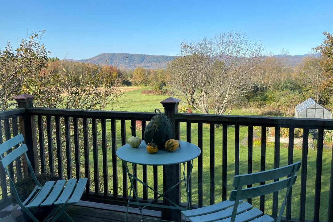 Photo of Patio Balcony in Bridport
