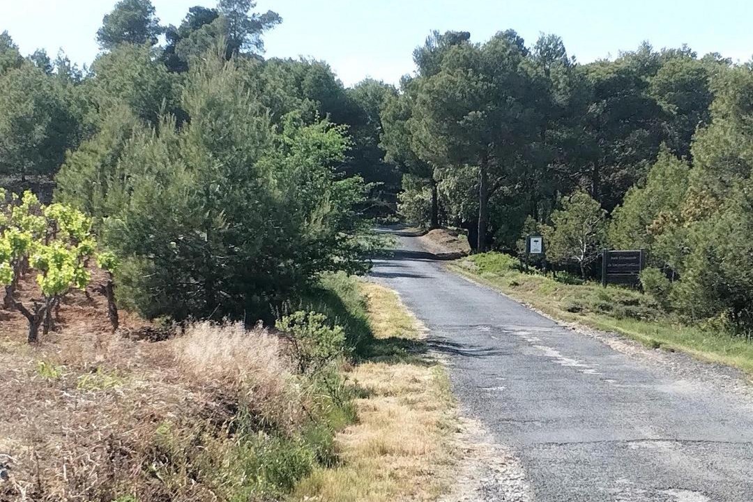 Photo of Others in Lezignan-Corbieres