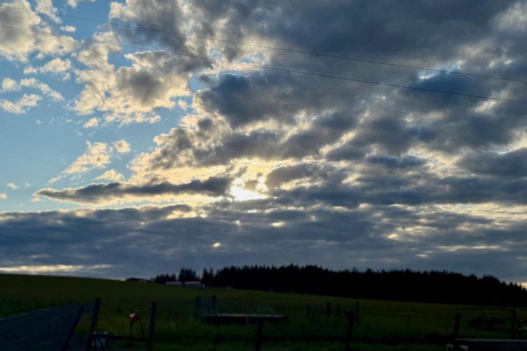 Photo of Others in Harvard