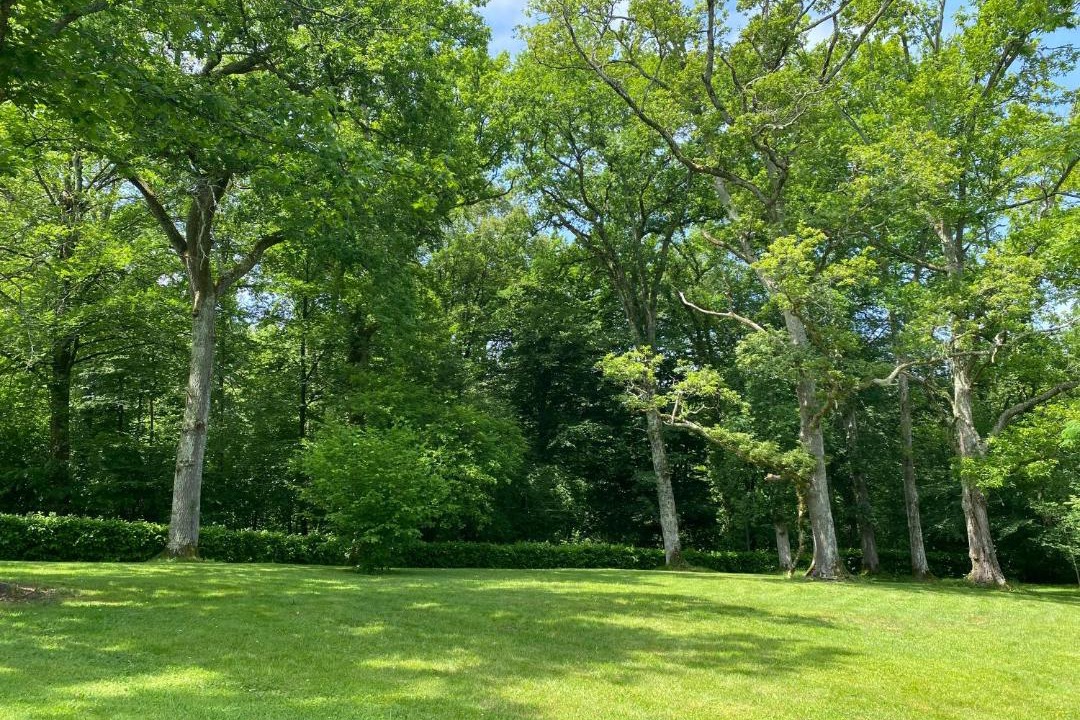 Photo of Outdoor in Jurancon