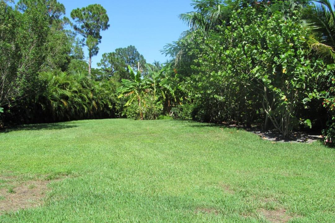 Photo of Outdoor in Jupiter Farms