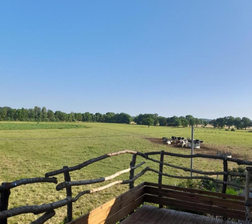 Photo of Others in Saint-Germain-des-Pres