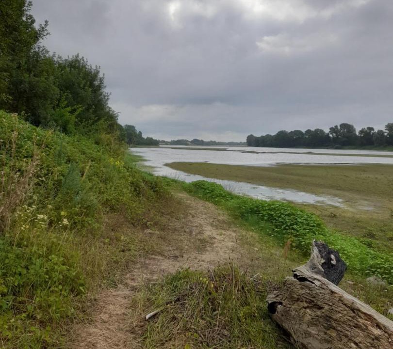 Photo of Others in Saint-Germain-des-Pres