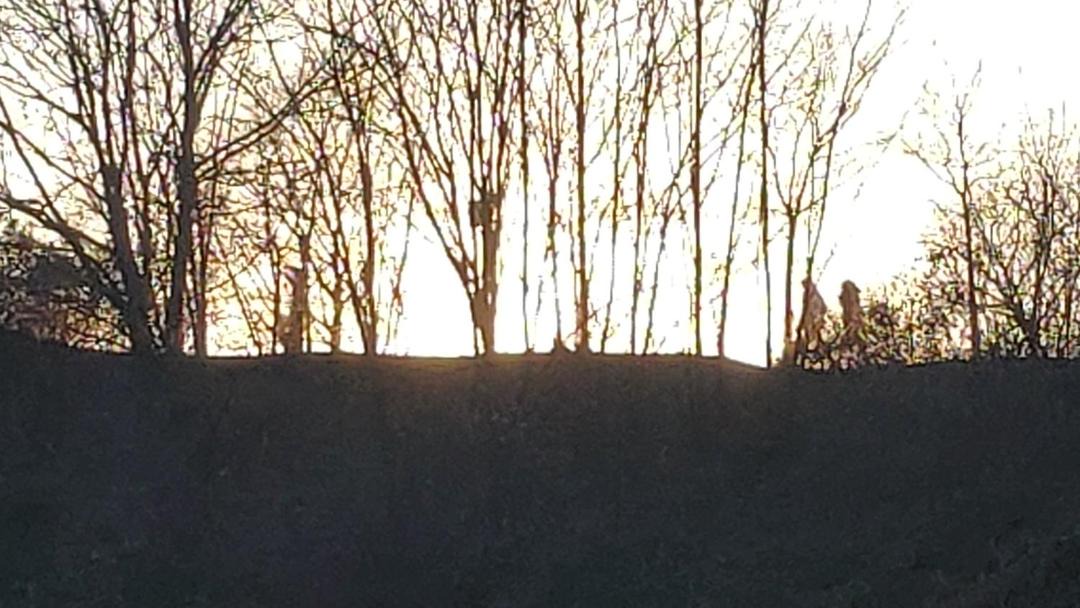 Photo of Others in Olot