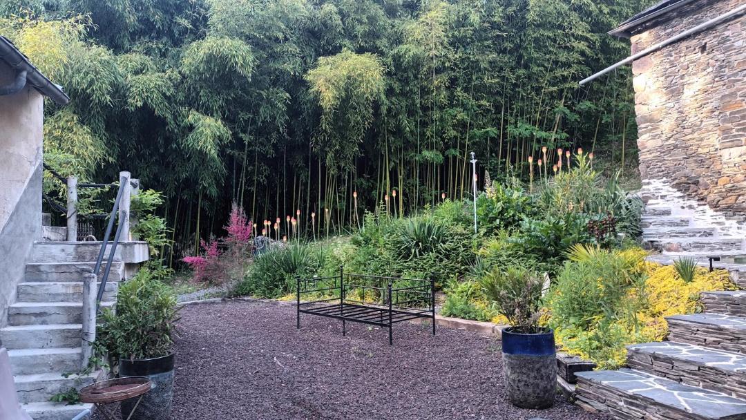 Photo of Others in Lascaux