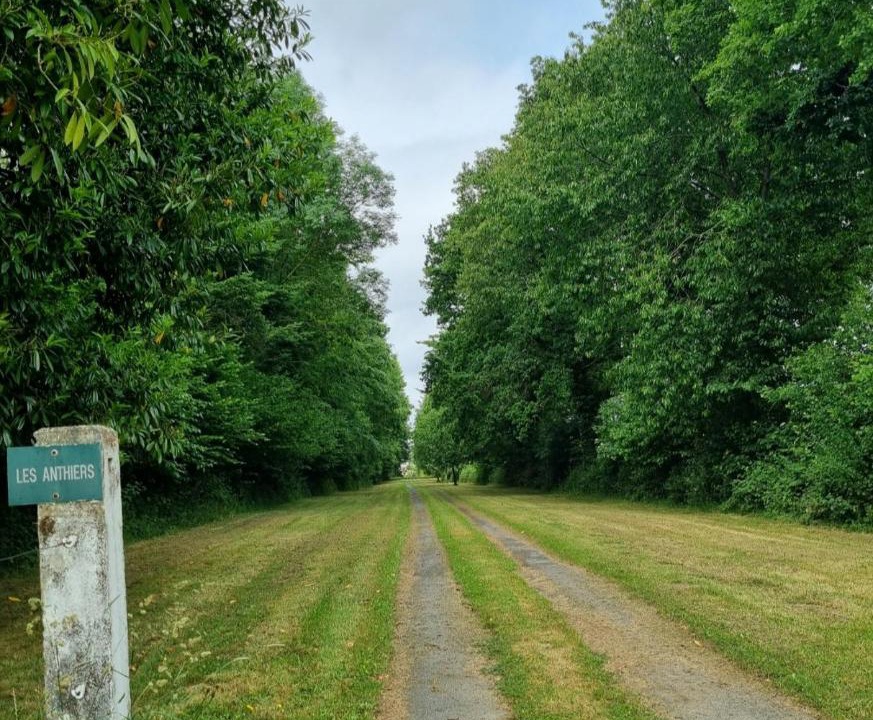 Photo of Others in Saint-Georges-d'Elle