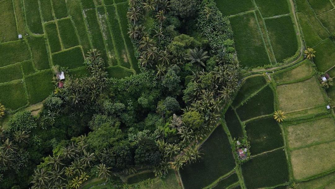 Photo of Others in Payangan