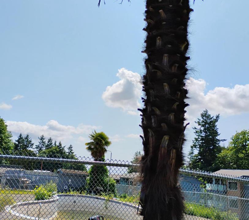 Photo of Others in Tukwila