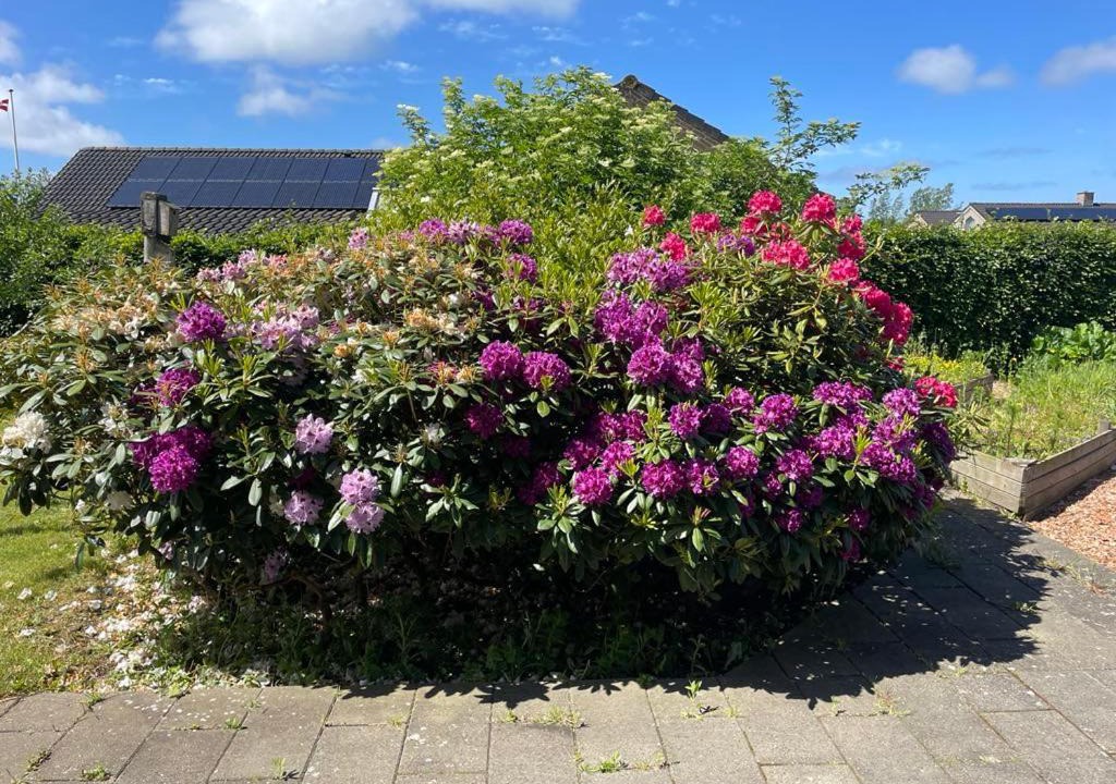 Photo of Outdoor in Hjørring