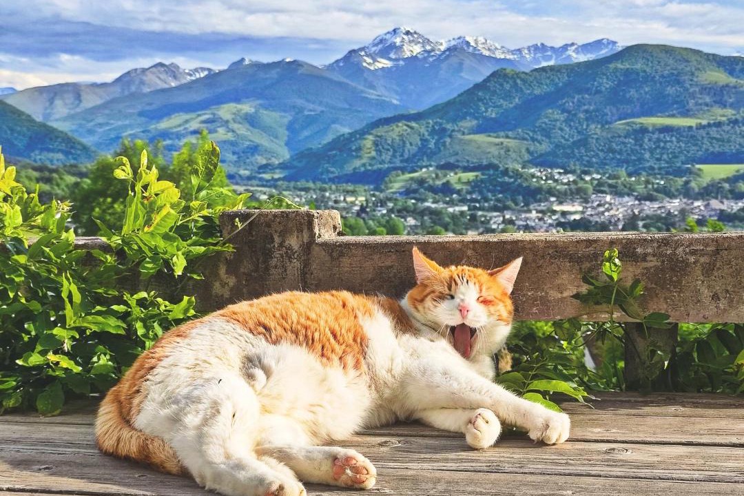 Photo of Others in Bagneres-de-Bigorre