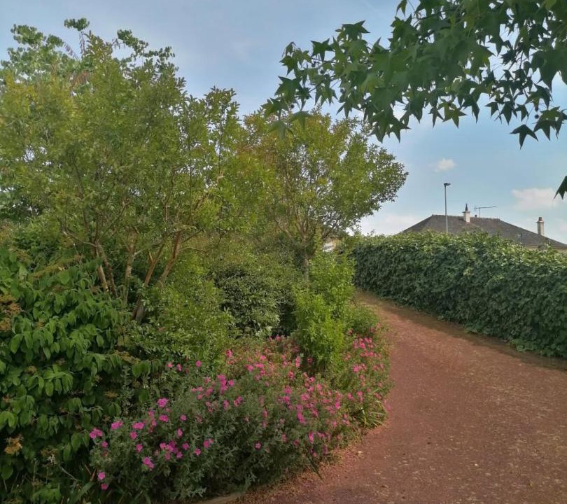 Photo of Others in Aze