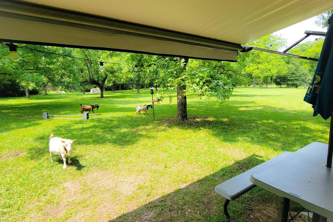 Photo of Others in Americus