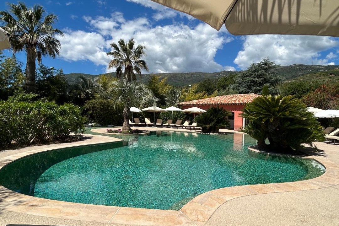 Photo of Others in Carros