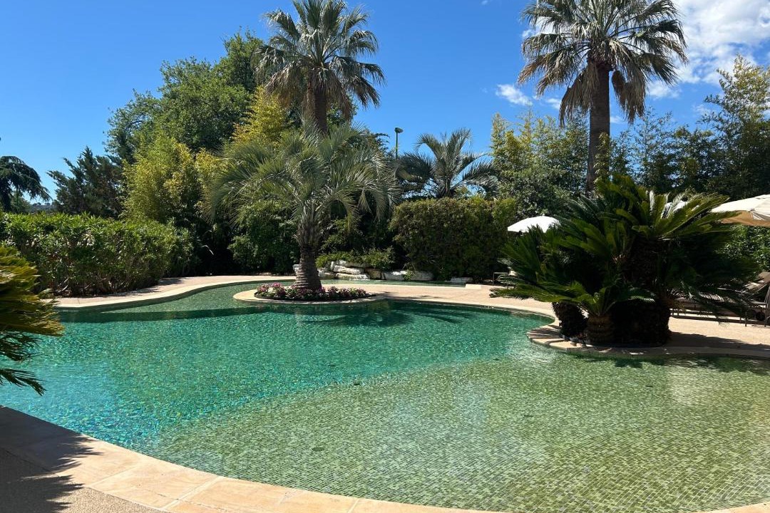 Photo of Others in Carros