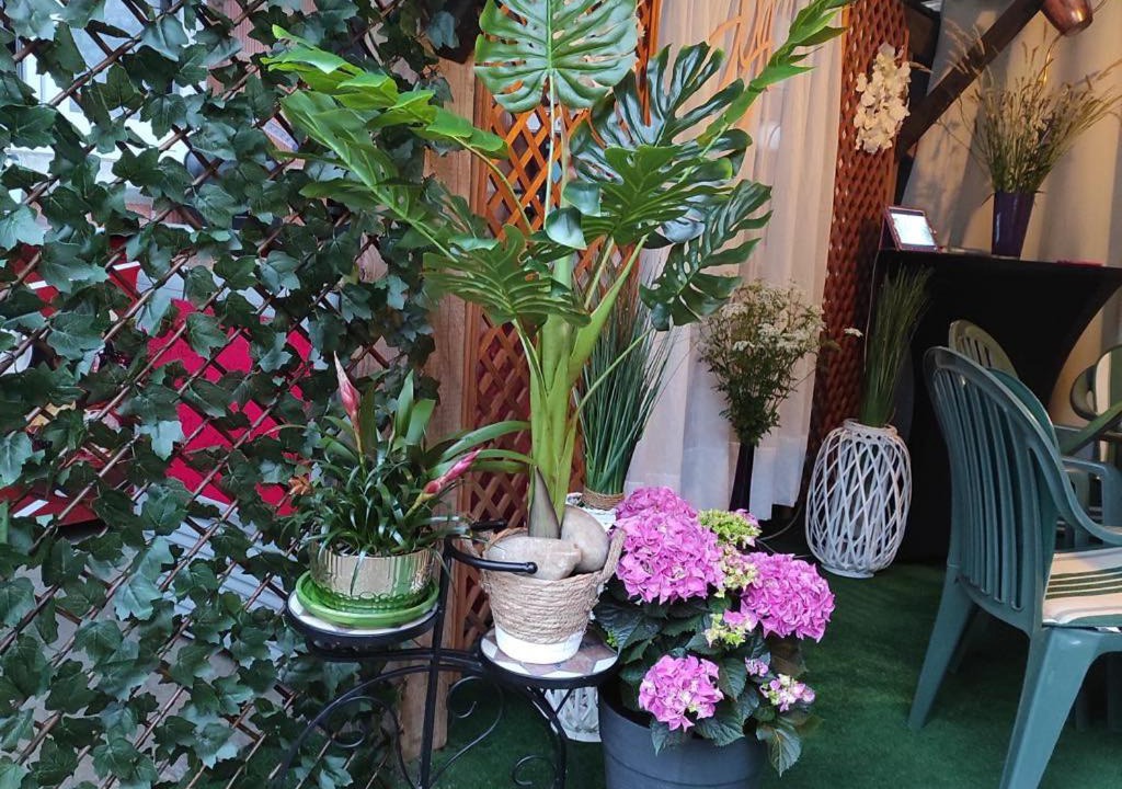 Photo of Others in Morsbronn-les-Bains