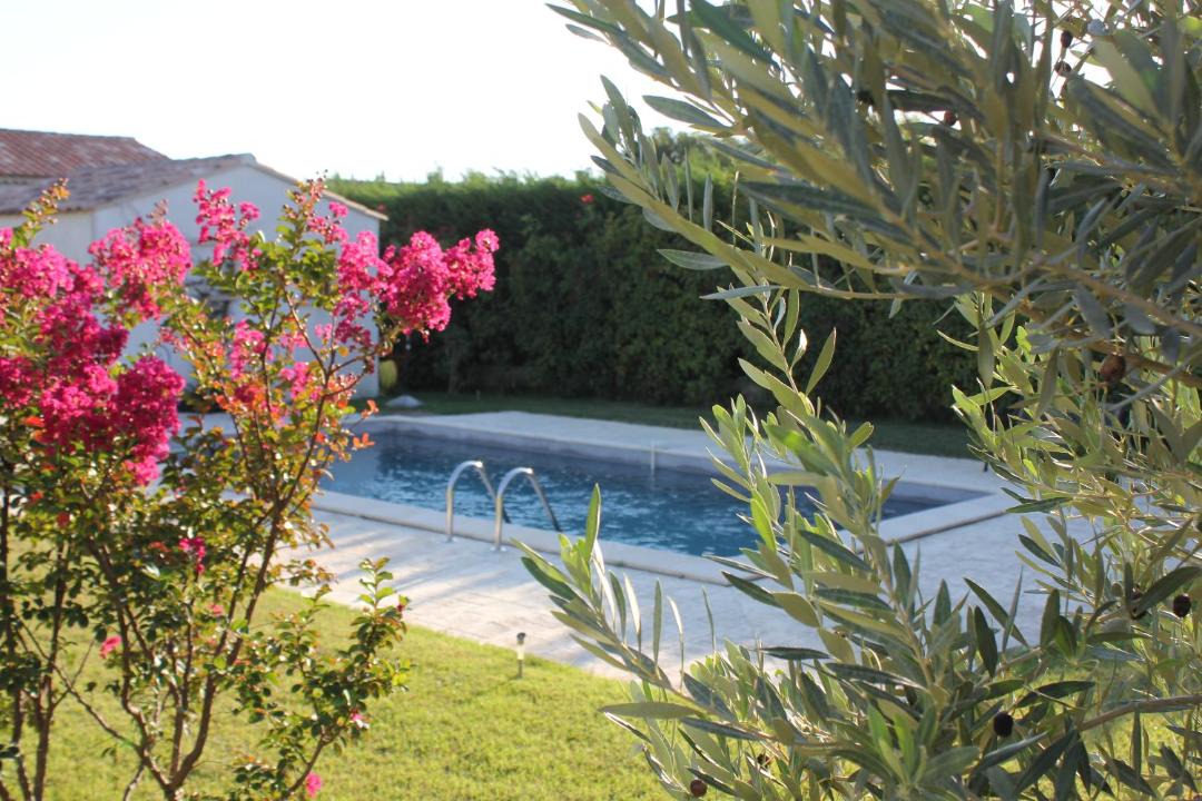 Photo of Others in Maillane