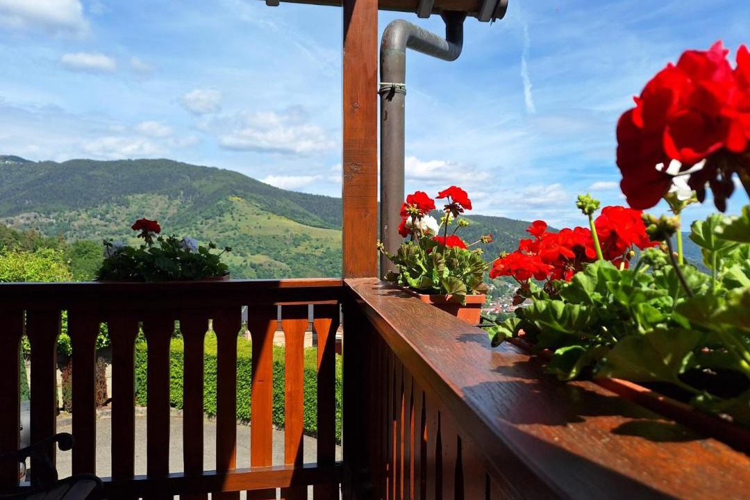 Photo of Patio Balcony in Fellering