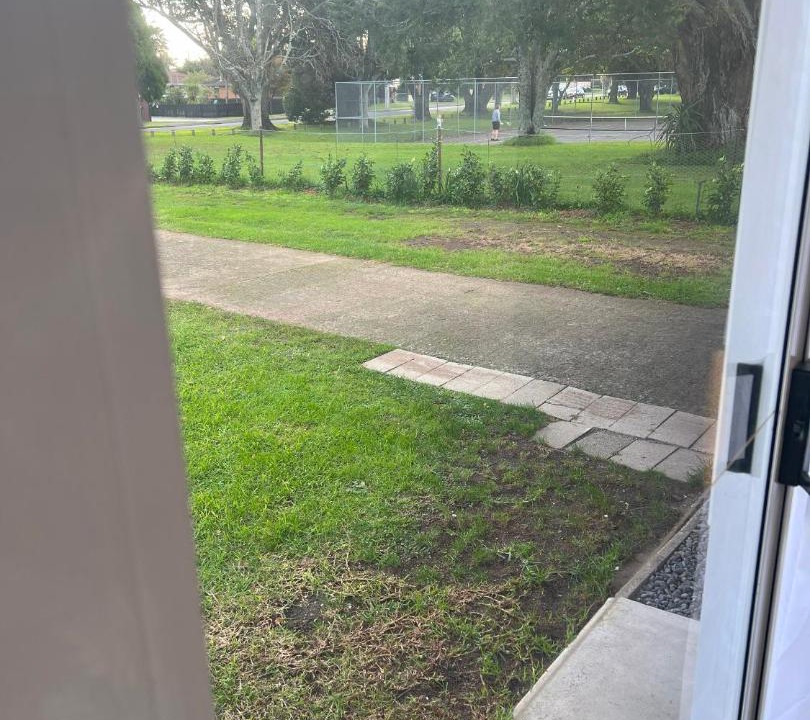 Photo of Others in Tauranga