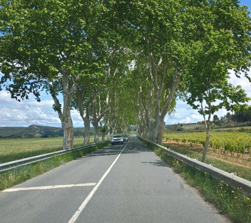 Photo of Others in Lagrasse