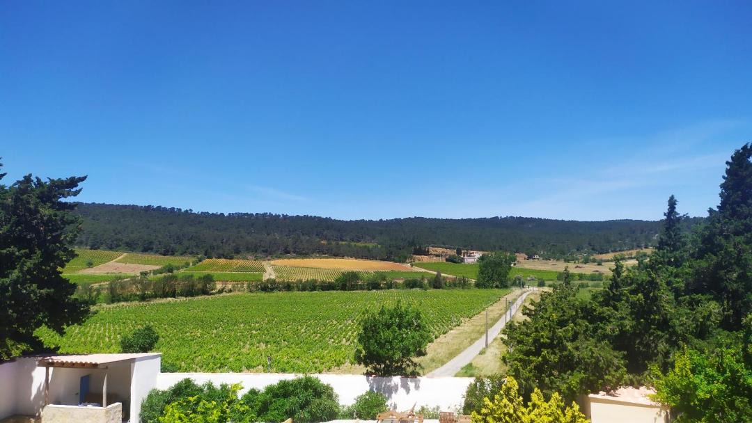 Photo of Others in Lagrasse