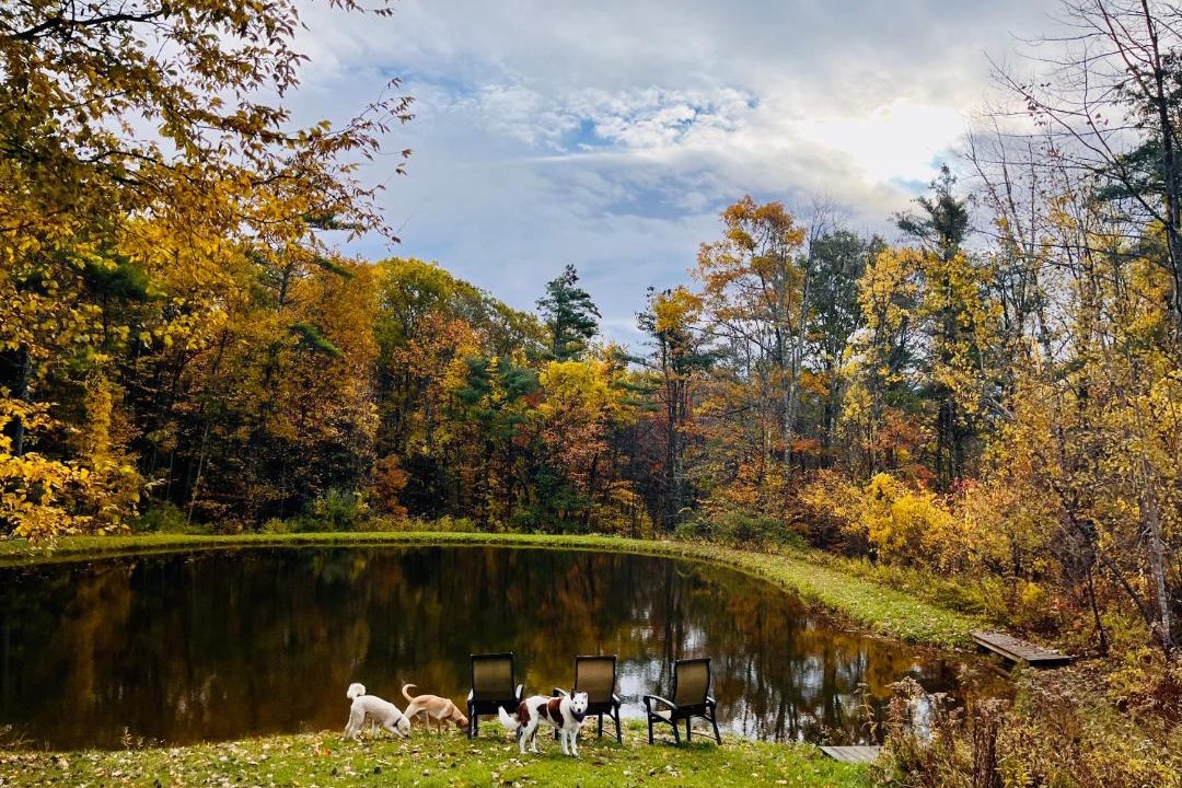 Photo of Others in Canaan