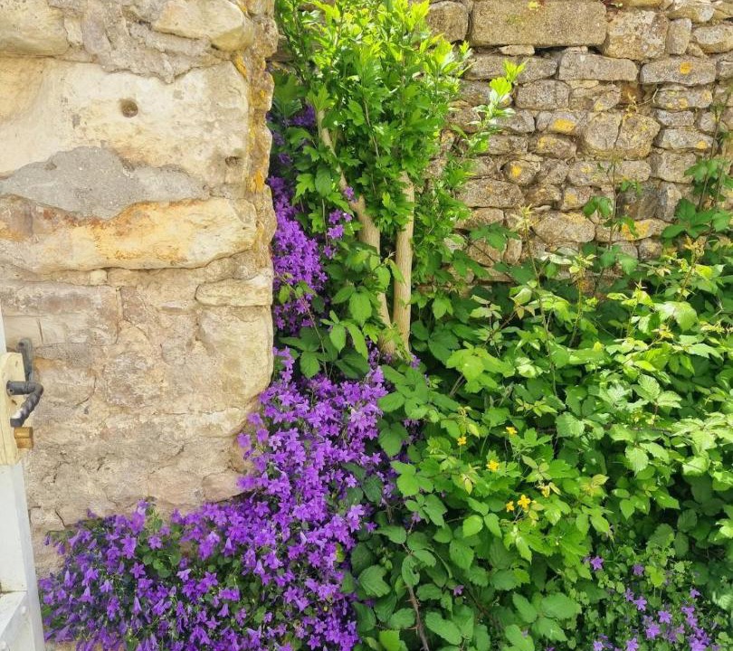 Photo of Others in Esnandes