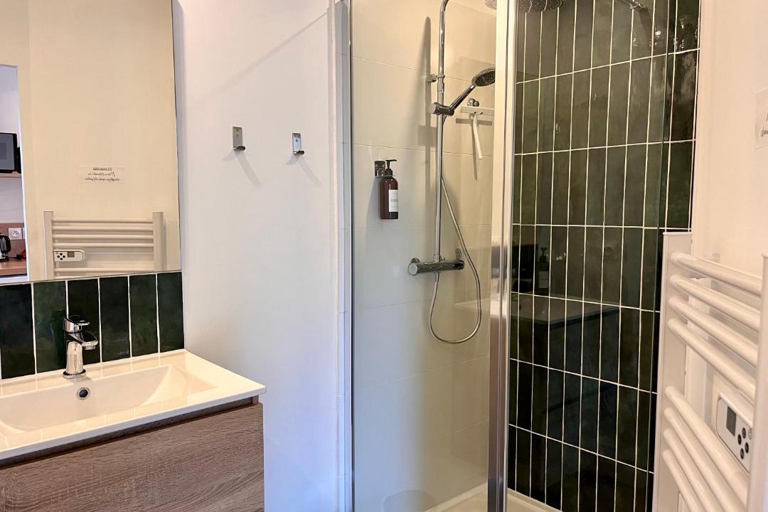 Photo of Bathroom in Centre-ville rive gauche