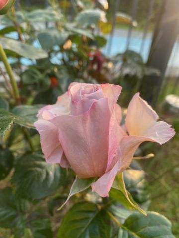 Photo of Outdoor in Crach