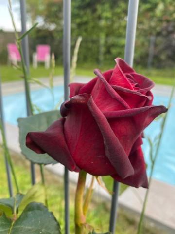 Photo of Others in Crach