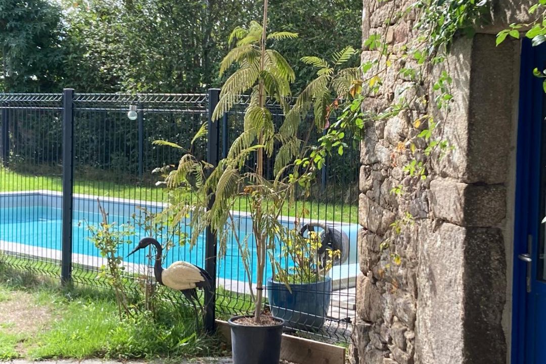 Photo of Others in Crach