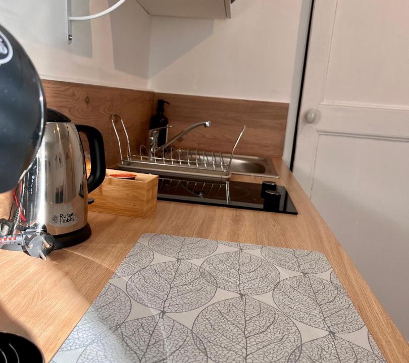 Photo of Kitchen in Centre-ville rive gauche