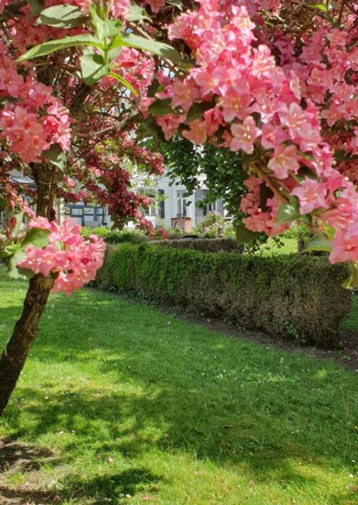 Photo of Outdoor in Fourmies