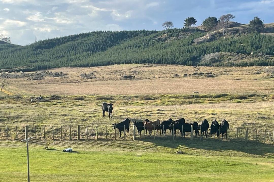 Photo of Others in Kaipara District