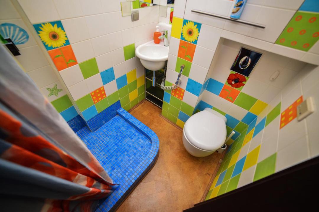 Photo of Others in North-Western Administrative Okrug