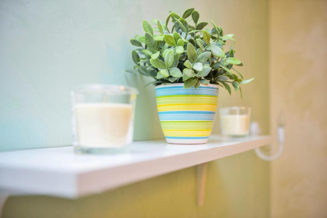 Photo of Bathroom in North-Western Administrative Okrug