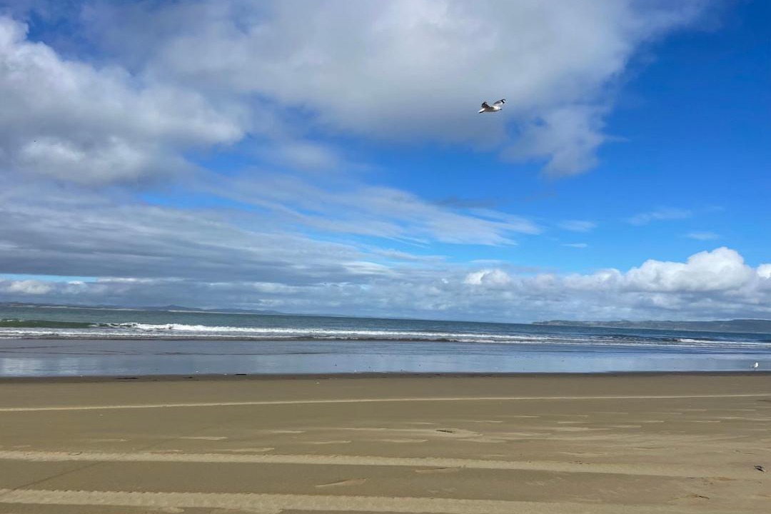 Photo of Others in Kaipara District