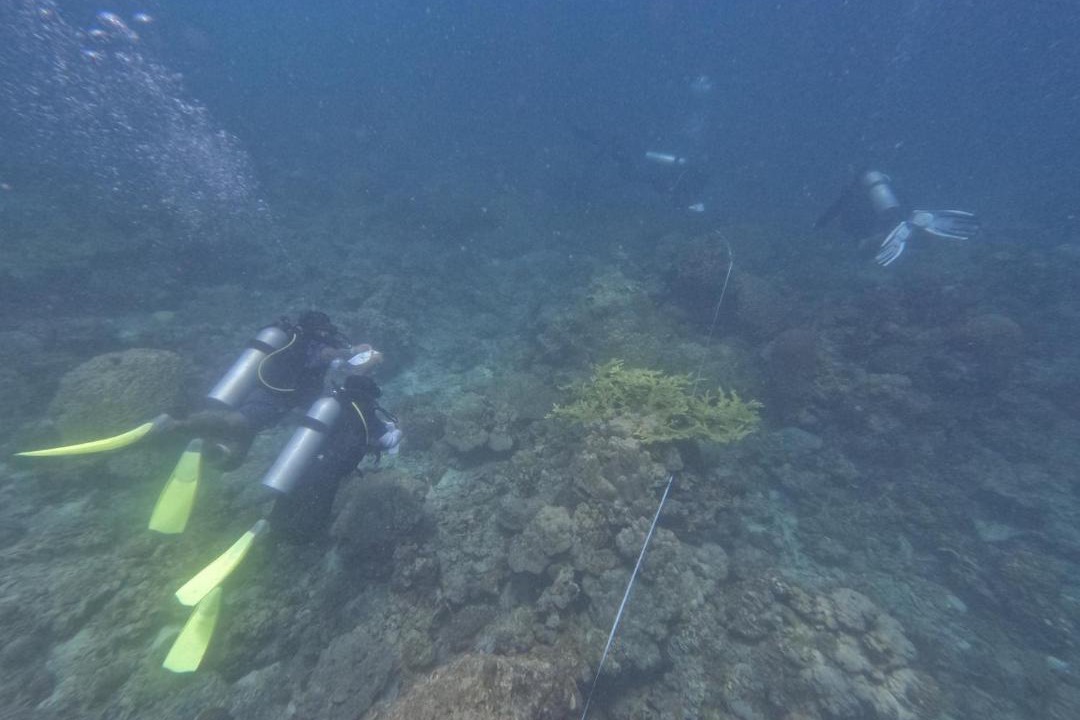 Photo of Others in Kampung Pasir Hantu