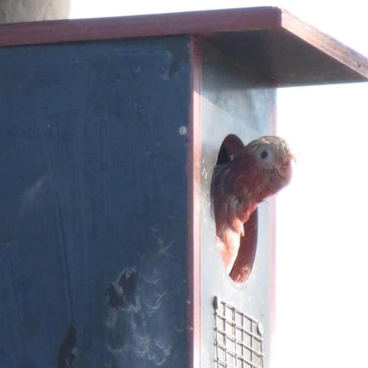 Photo of Others in Louth Park