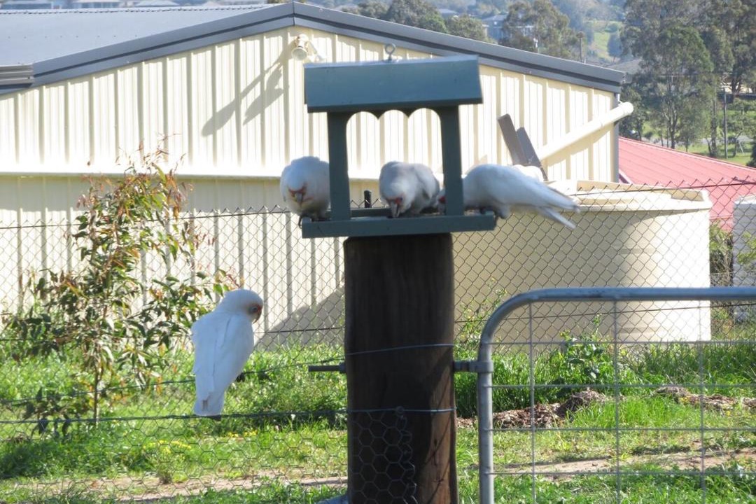 Photo of Others in Louth Park
