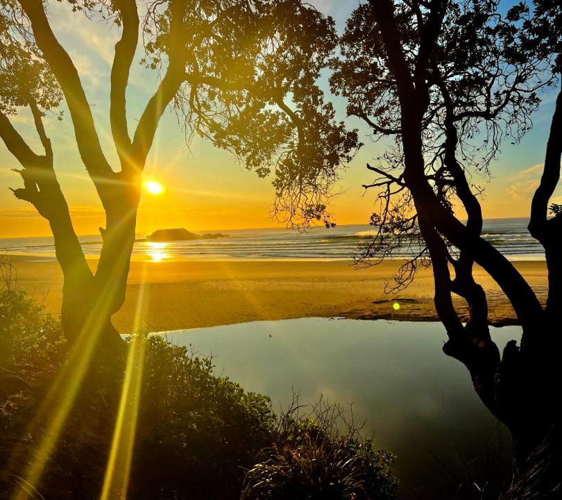 Photo of Others in Woolgoolga