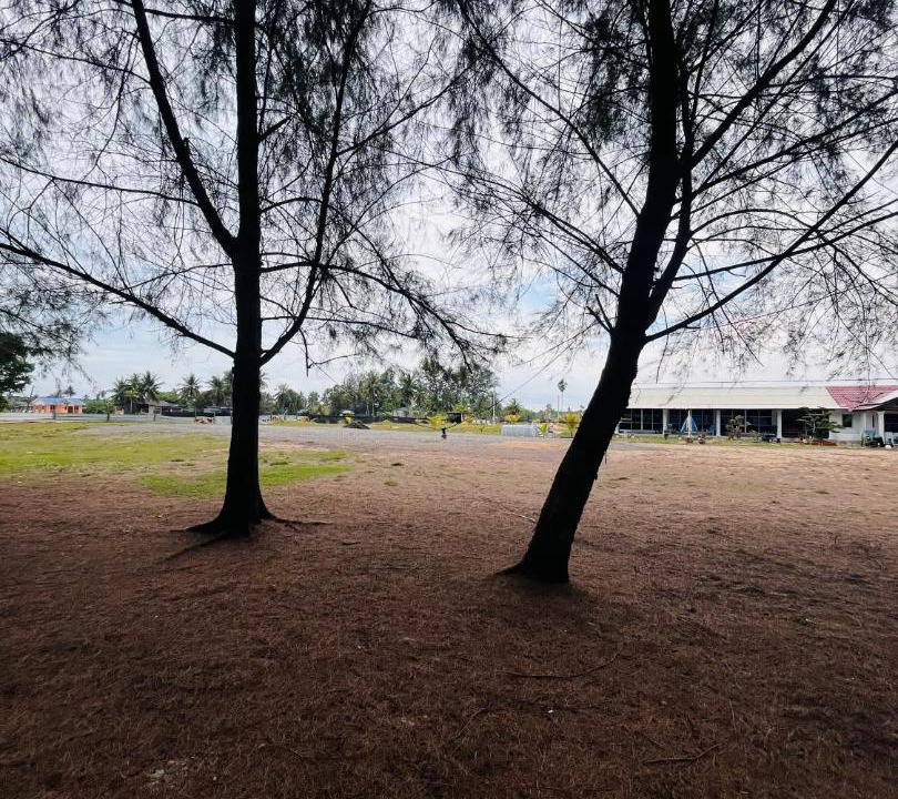 Photo of Others in Pekan