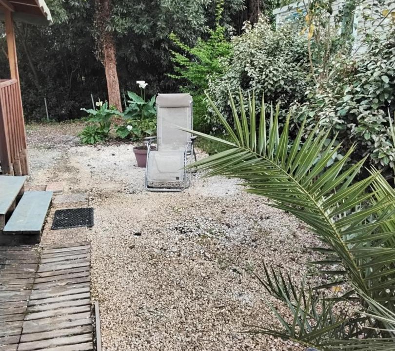 Photo of Others in Urt