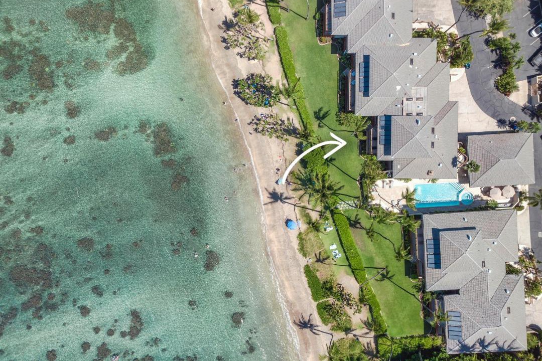 Photo of Others in Historic Lahaina Front Street