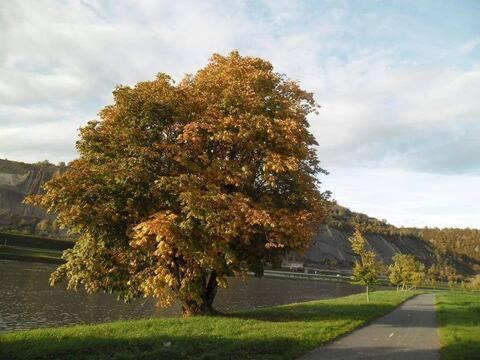 Photo of Others in Givet