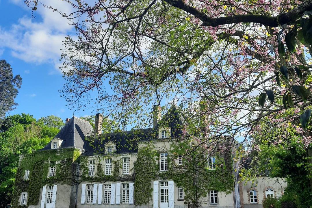 Photo of Others in Saint-Herblain